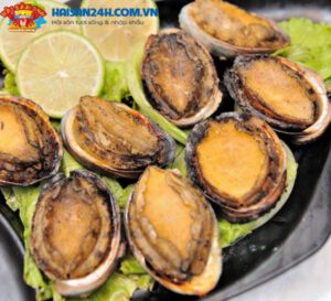 Bào Ngư Hàn Quốc Sống – ảnh 2 – Hải Sản 24H