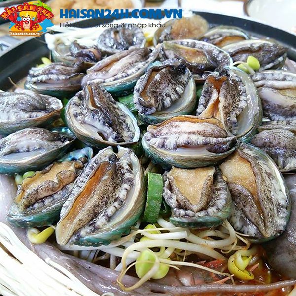 Bào Ngư Hàn Quốc Sống – ảnh 3 – Hải Sản 24H