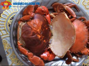 Cua Cốm 2 Da – ảnh 2 – Hải Sản 24H