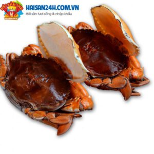 Cua Cốm 2 Da – ảnh 5 – Hải Sản 24H