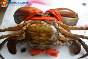 Cua Gạch Son Cà Mau – ảnh 4 – Hải Sản 24H