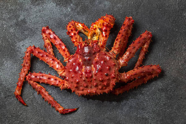 Cua King crab giá rẻ là loại hải sản đang rất được ưa chuộng