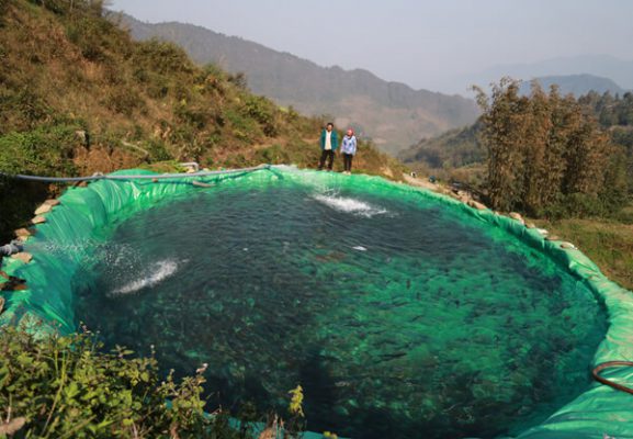Hình ảnh hồ nuôi cá hồi tại lưng núi Sapa, Việt Nam