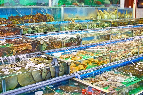 cửa hàng uy tín để mua hải sản tại hà nội