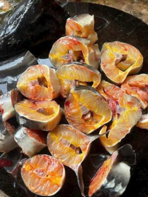 Cá tầm Sapa cắt khúc sơ chế sẵn