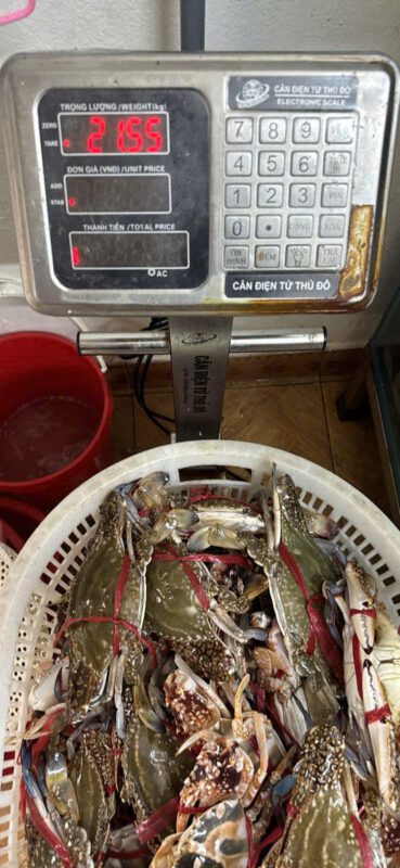 Ghẹ xanh tươi sống cân đủ ký tại Hải Sản 24H