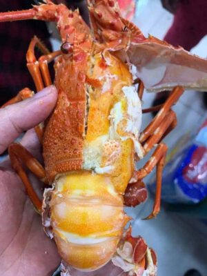Tôm hùm bông hấp chín nhiều gạch tại Hà Nội