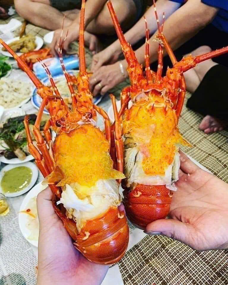 tôm hùm hấp chín nhiều gạch