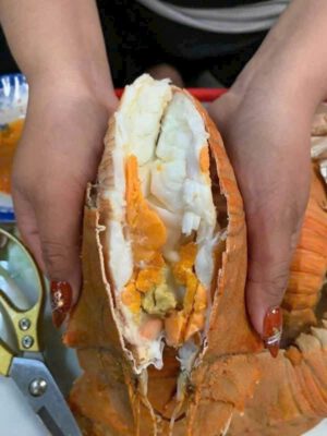 Tôm mũ ni hấp thịt chắc nhiều gạch