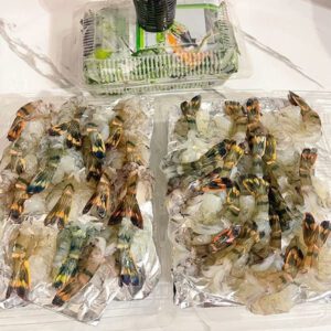 Tôm sú bóc vỏ làm sashimi