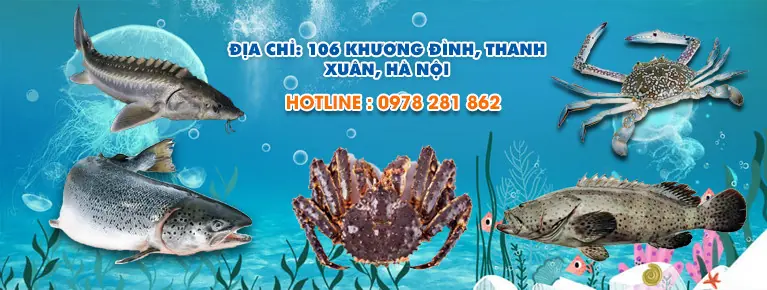 Cua Cà Mau tươi sống tại Hải Sản 24H