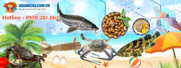 Hải Sản 24H – hải sản tươi sống giao tận nhà Hà Nội